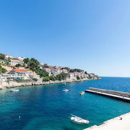 First Row Zavalatica