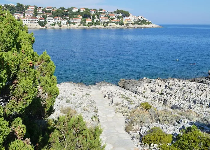 First Row * زافالاتيكا