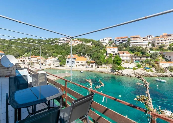 First Row * زافالاتيكا